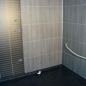 Belegg på gulvet og baderomsplater på vegger. Eget mønster i dusjsone.